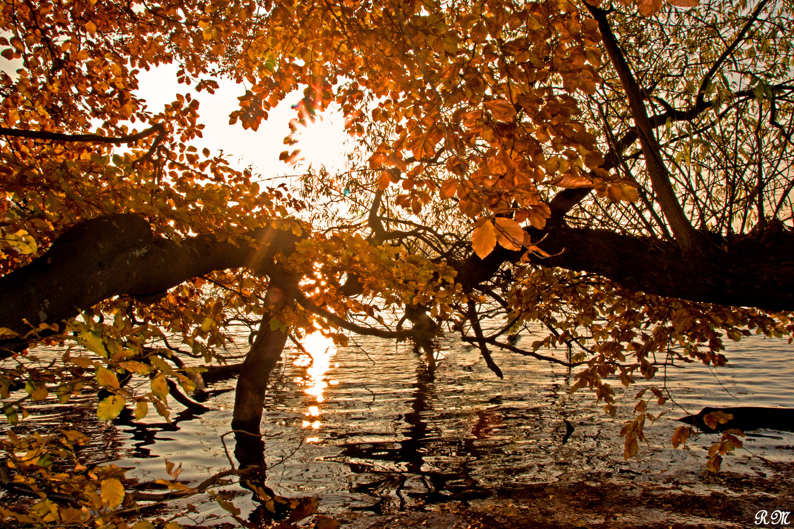 Goldener Herbst