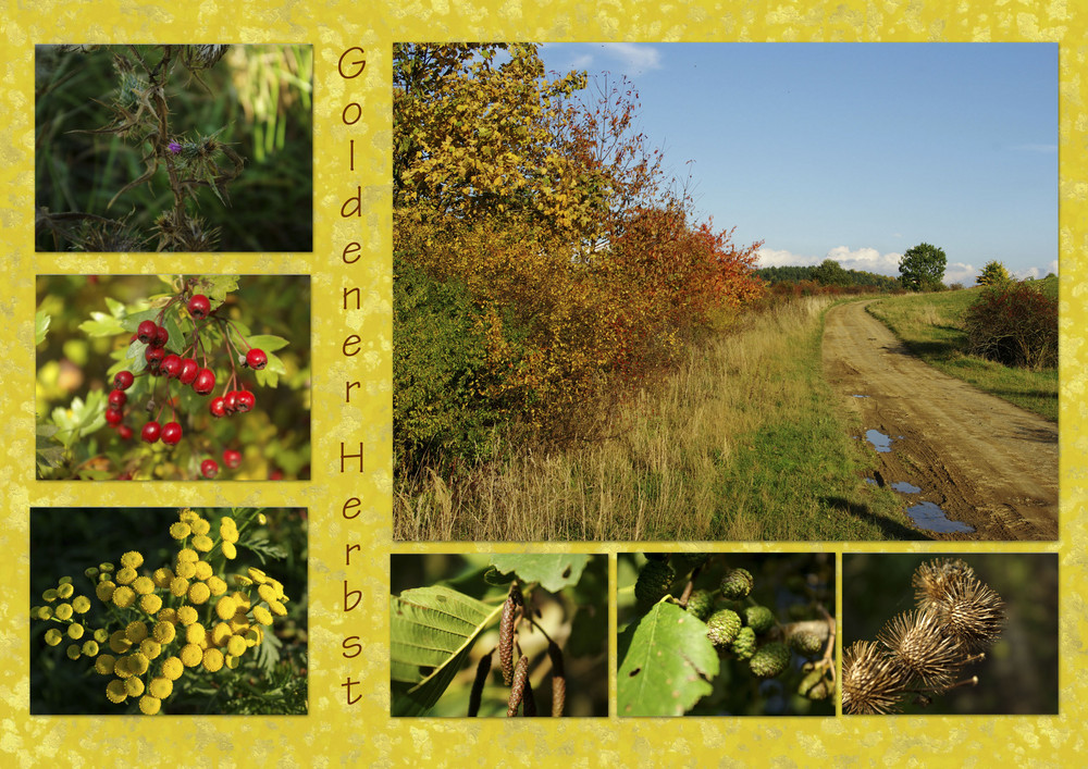 Goldener Herbst