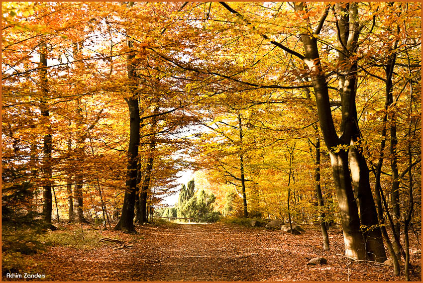 Goldener Herbst