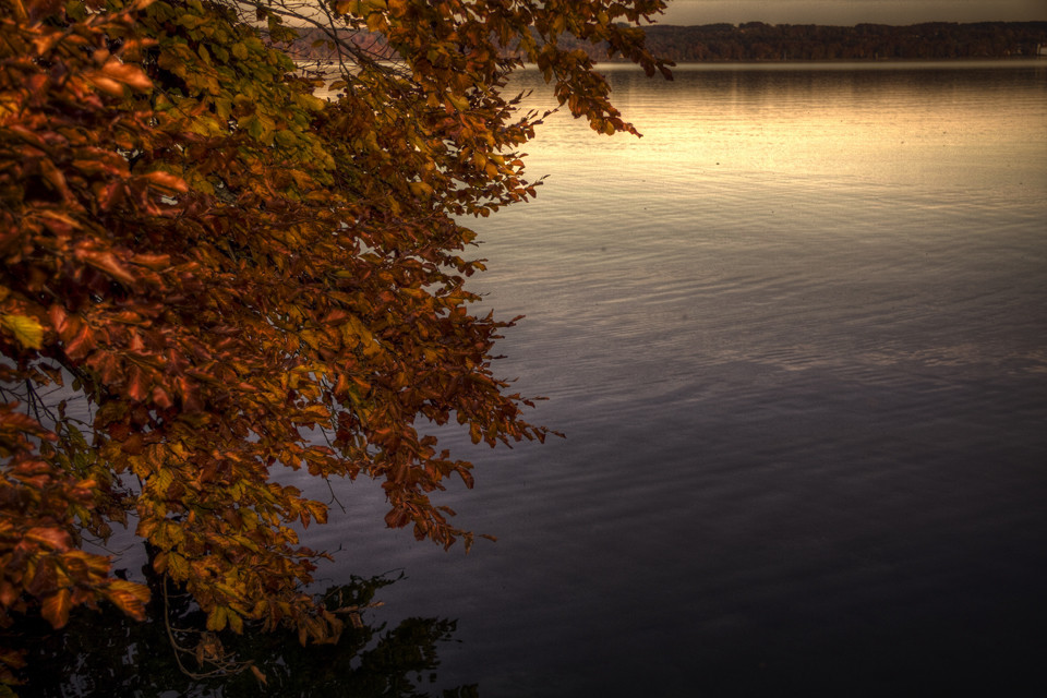 Goldener Herbst