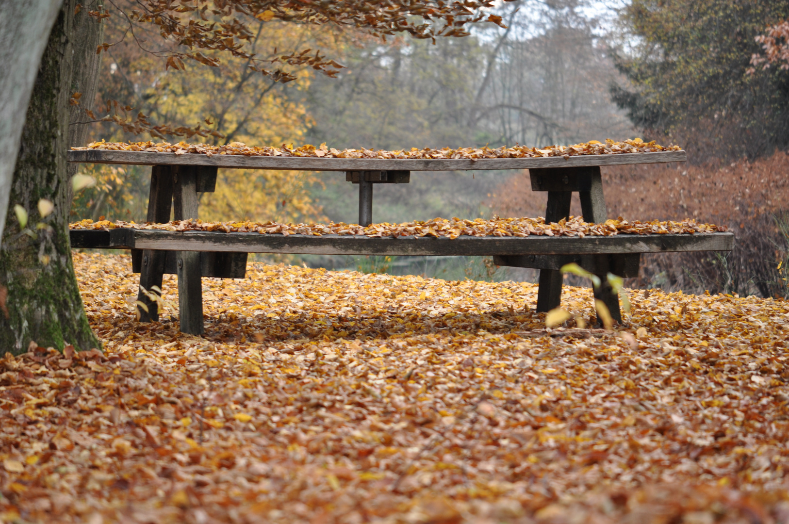 Goldener Herbst