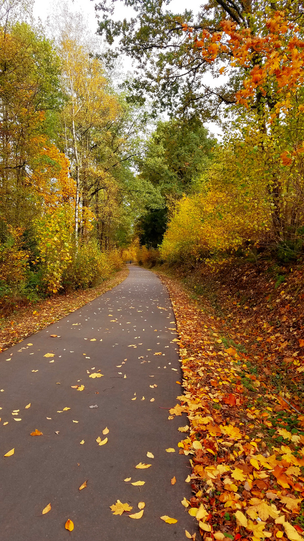 Goldener Herbst 