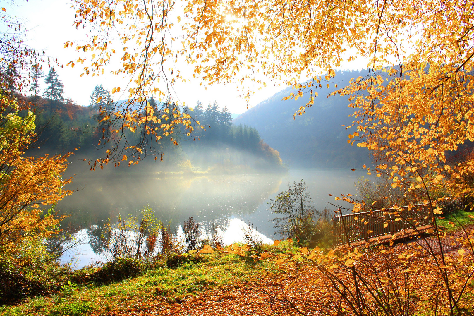 goldener Herbst