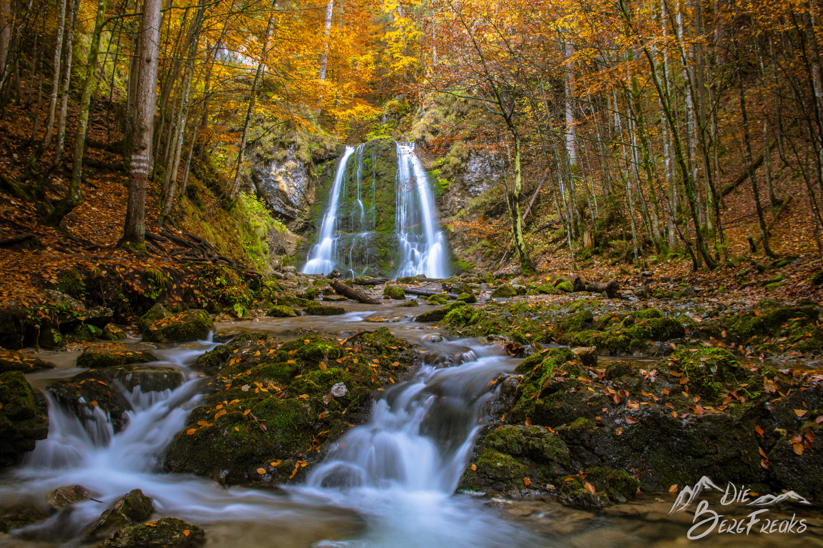 Goldener Herbst