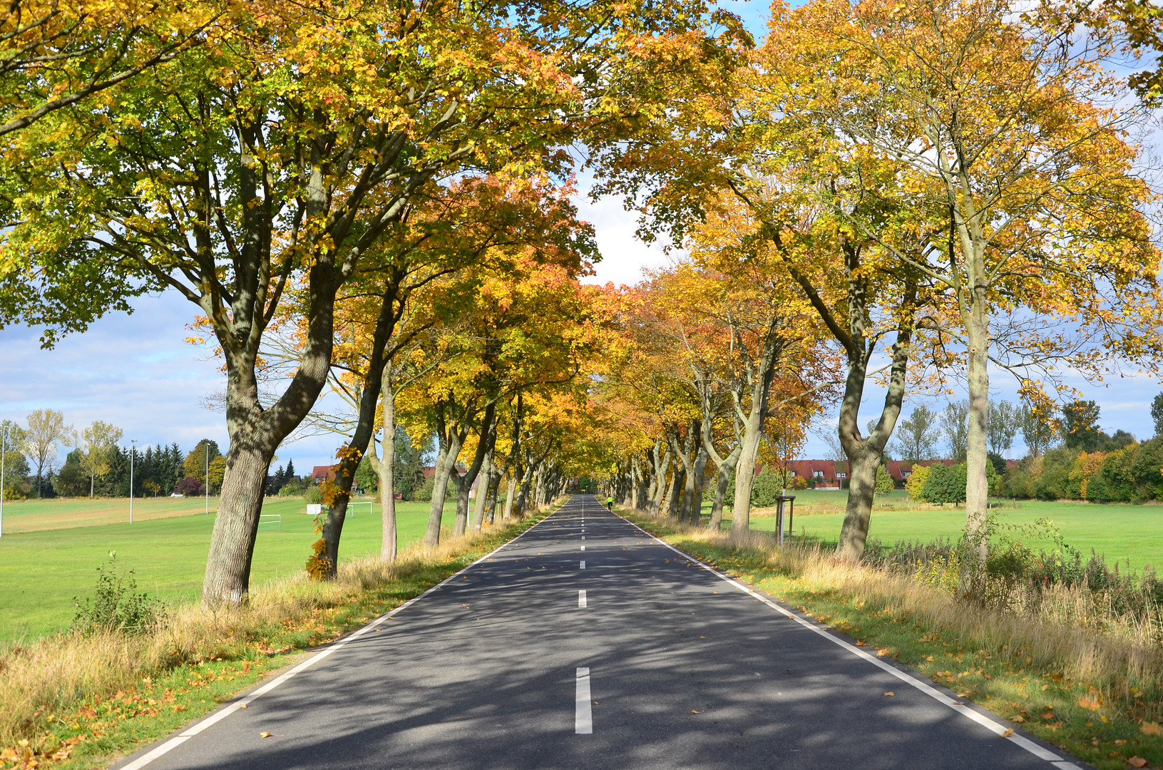 Goldener Herbst