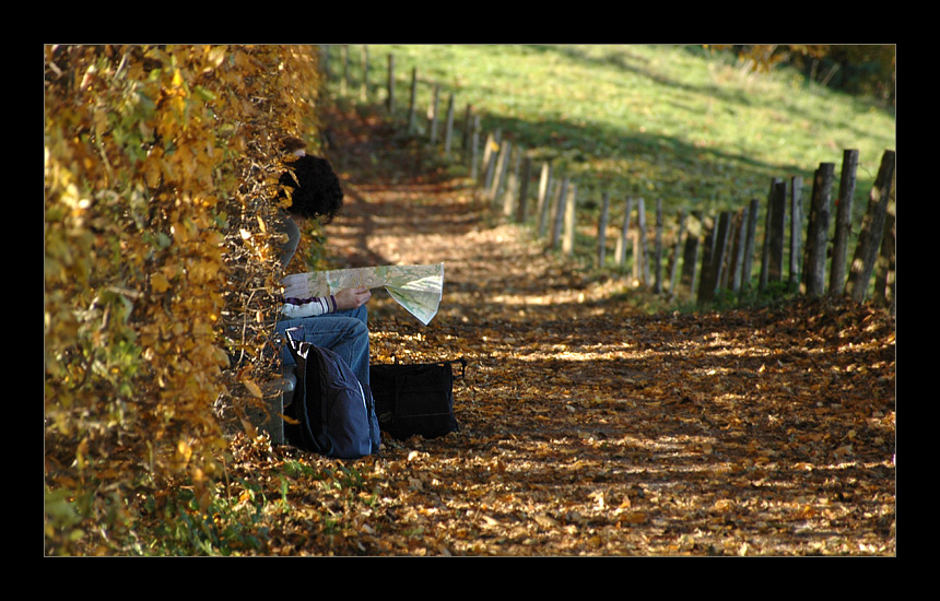 Goldener Herbst