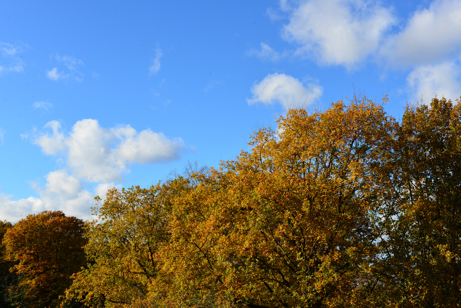 goldener Herbst