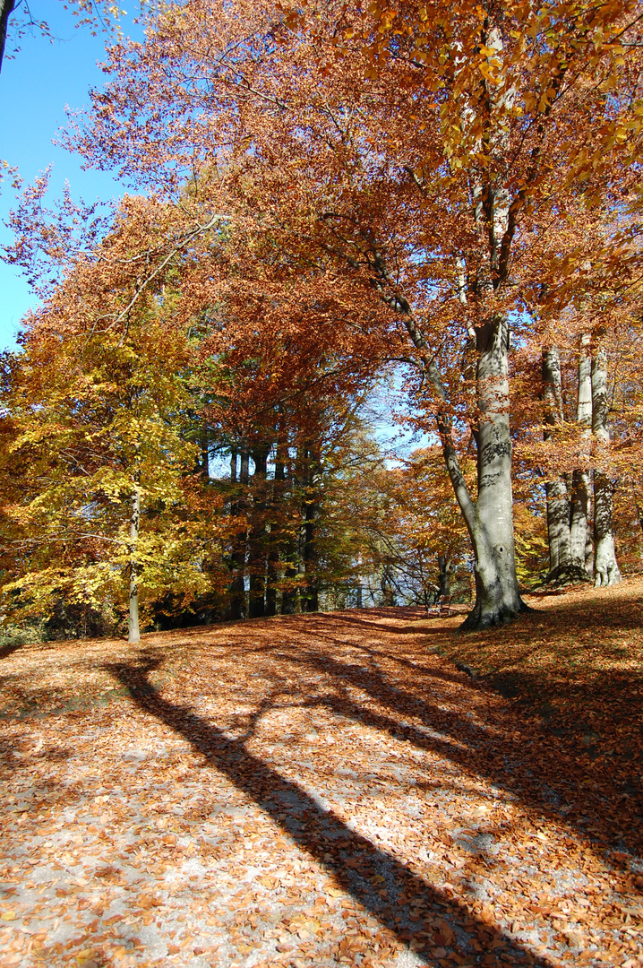 goldener Herbst