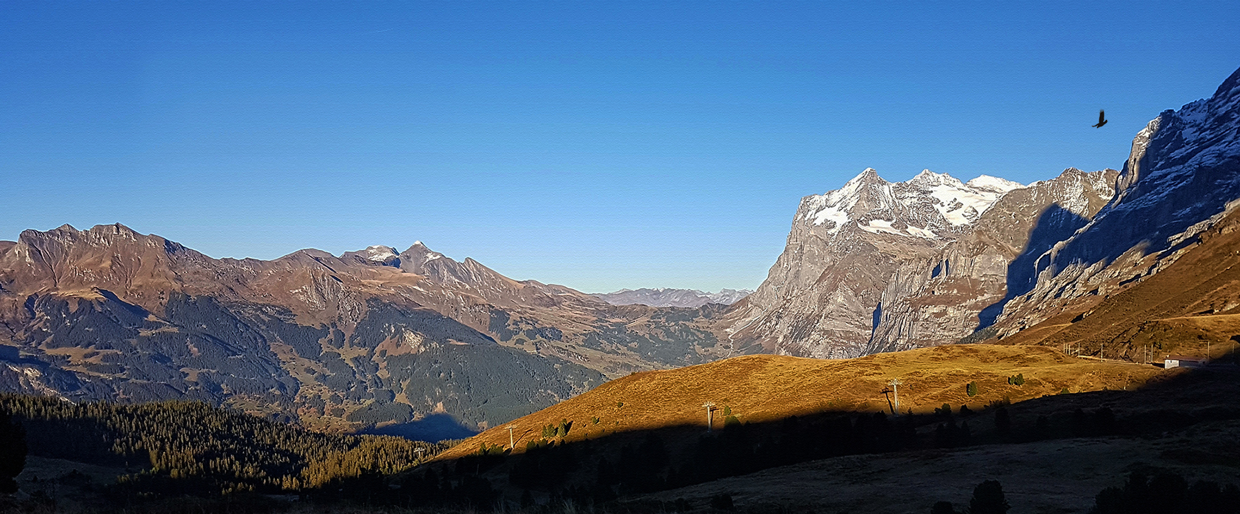 goldener Herbst