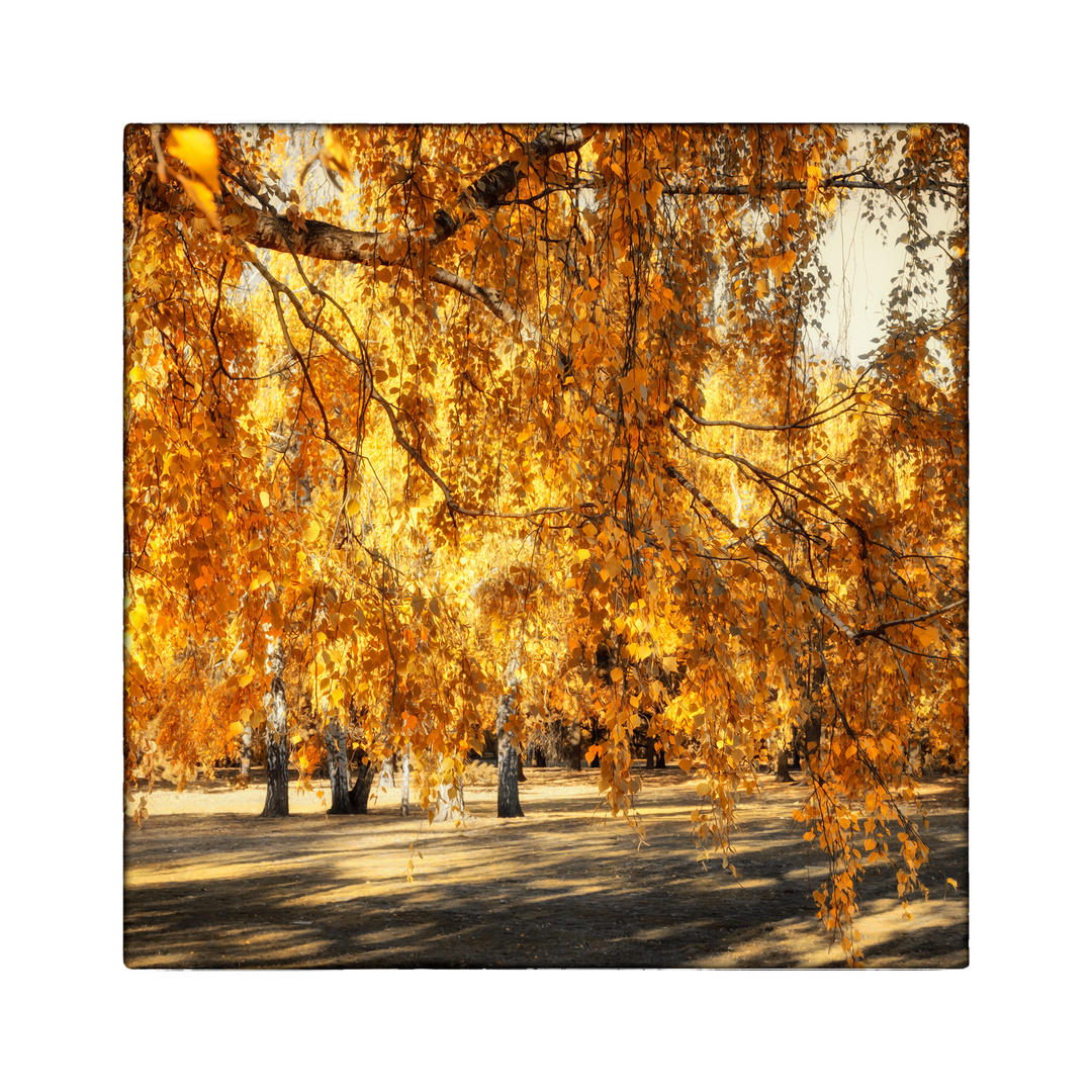 goldener Herbst