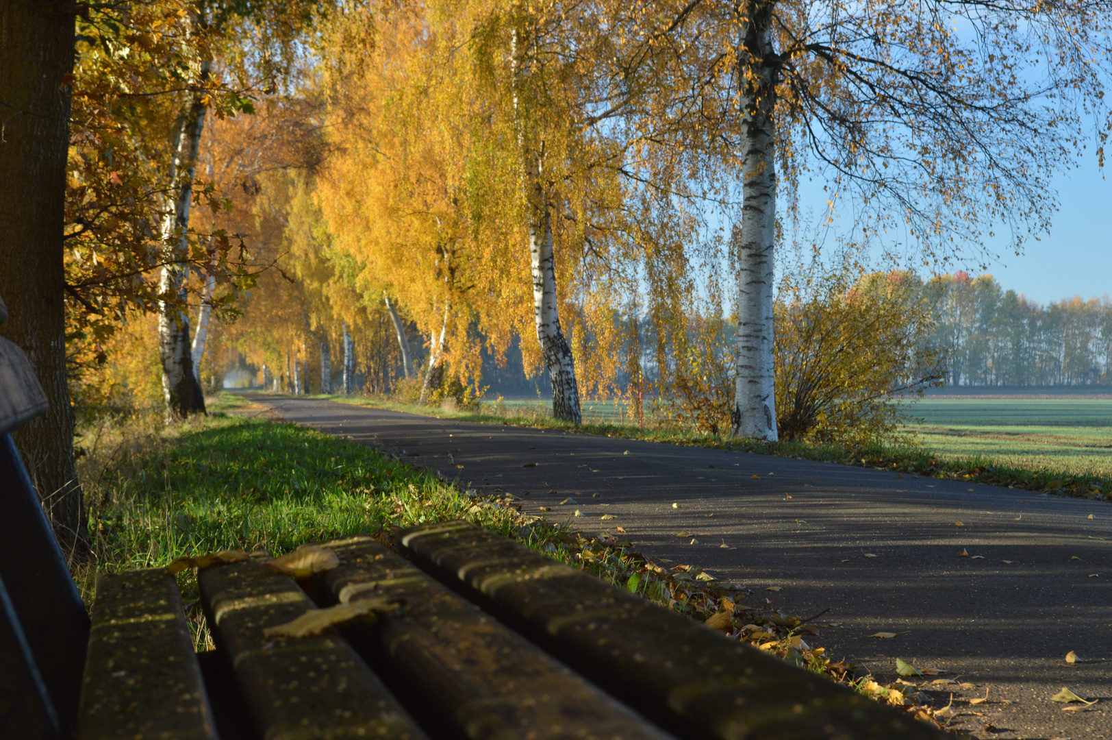 Goldener Herbst