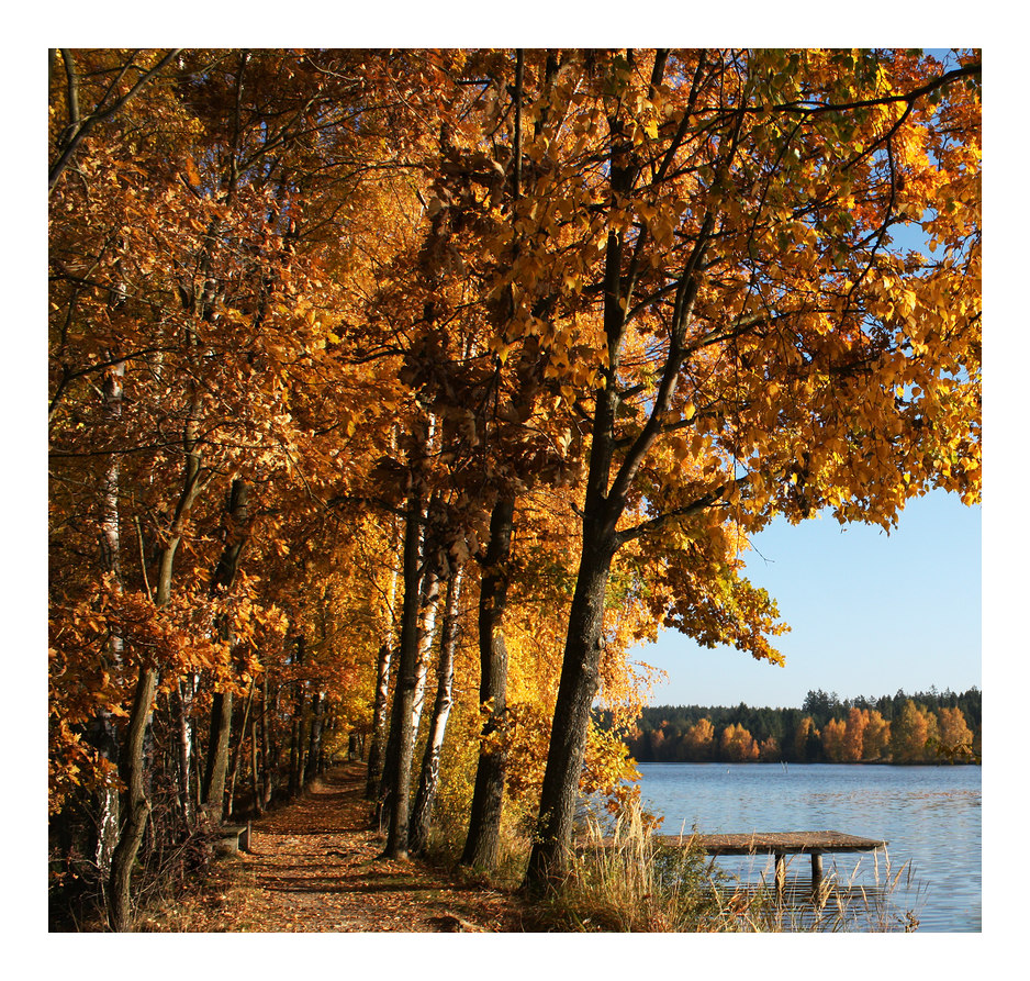 Goldener Herbst