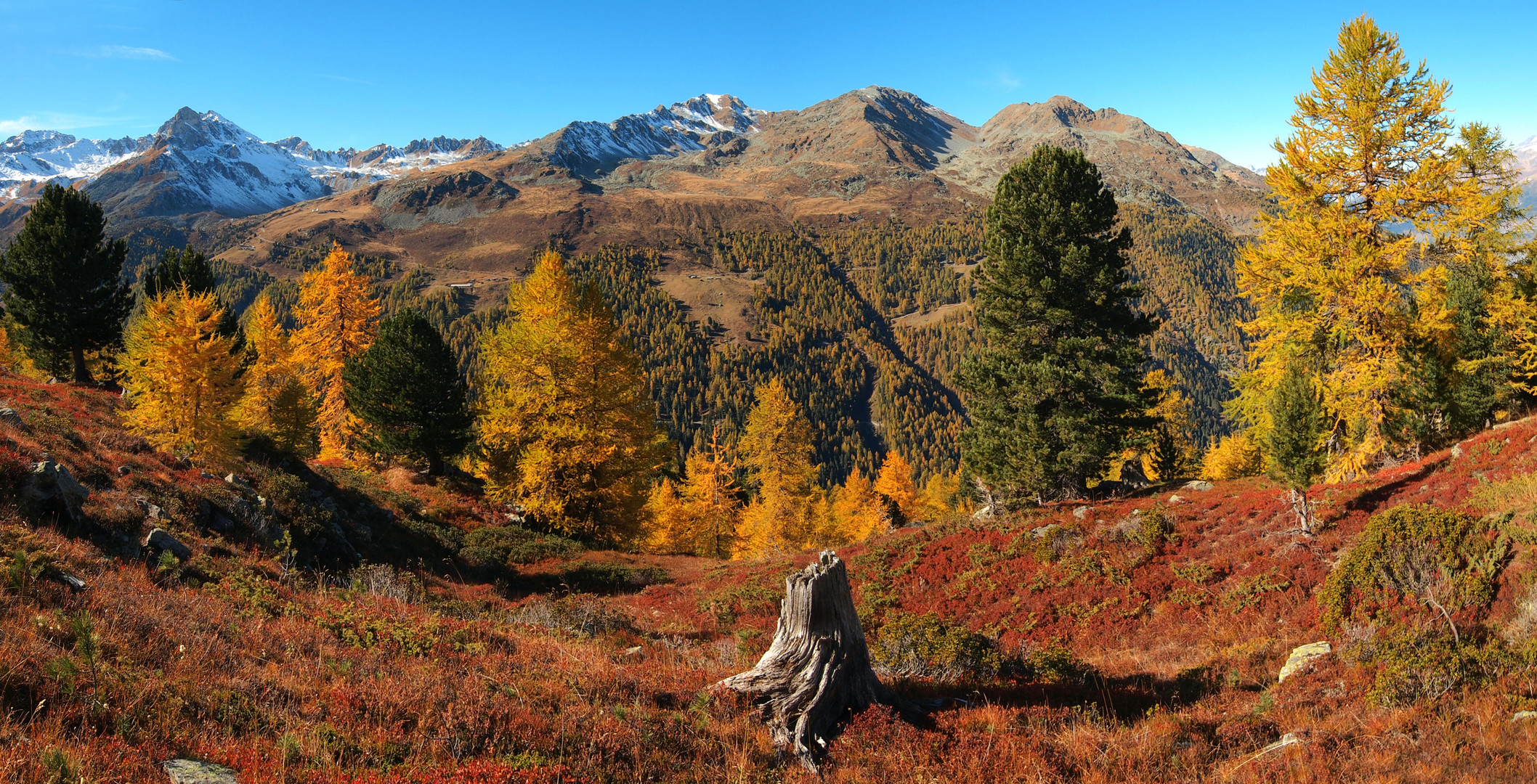 Goldener Herbst