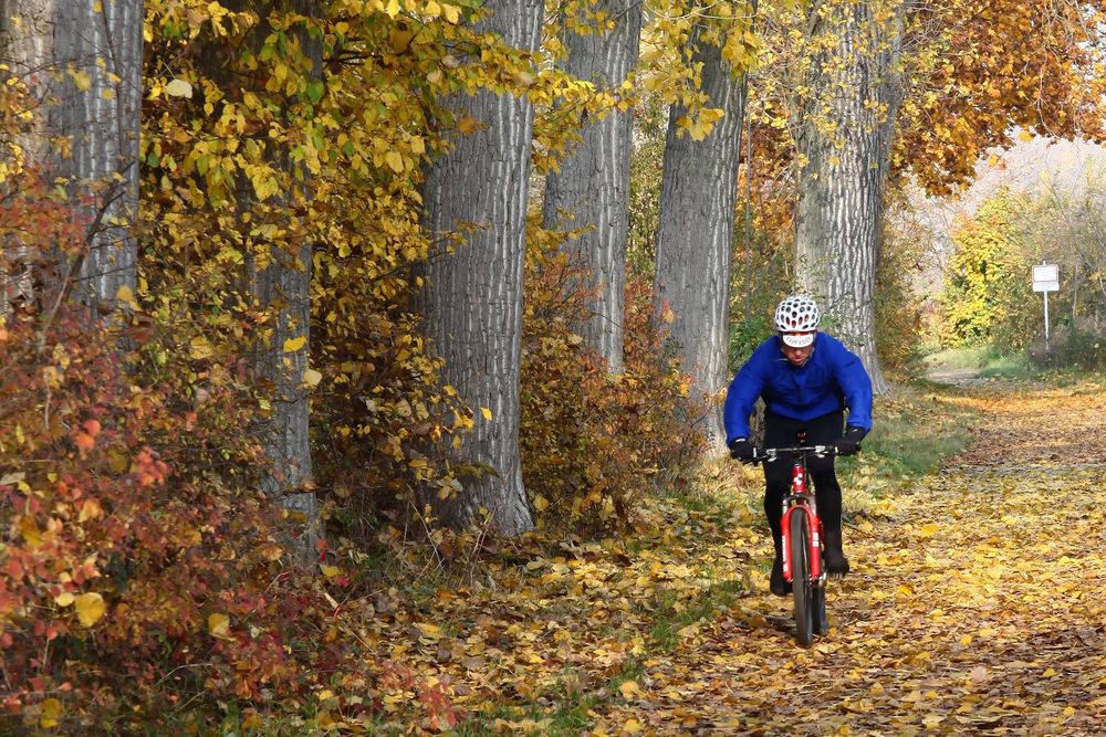 Goldener Herbst