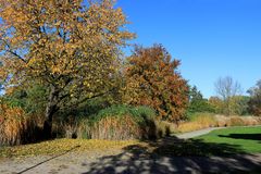 Goldener Herbst