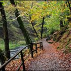 Goldener Herbst