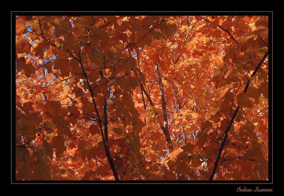 Goldener Herbst