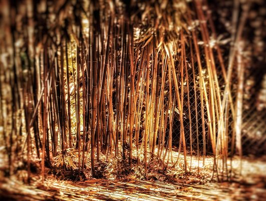 Goldener Herbst.....