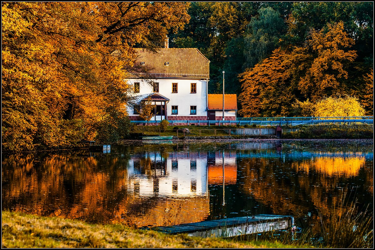 ...Goldener Herbst...