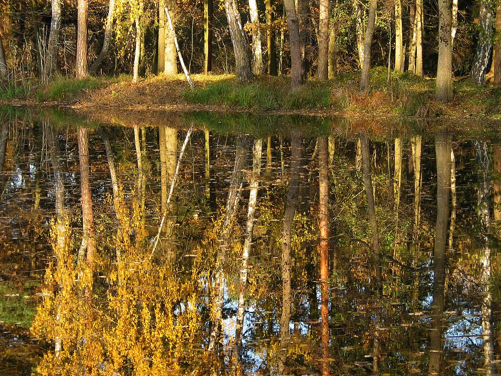 Goldener Herbst