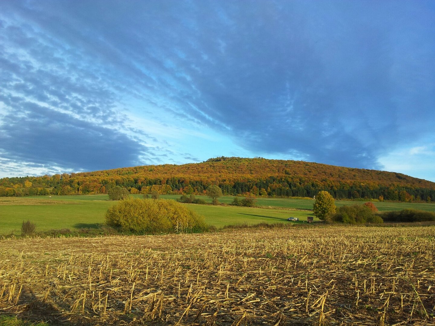 goldener Herbst