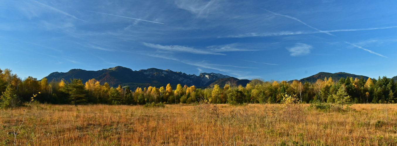 Goldener Herbst