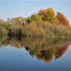 Goldener Herbst