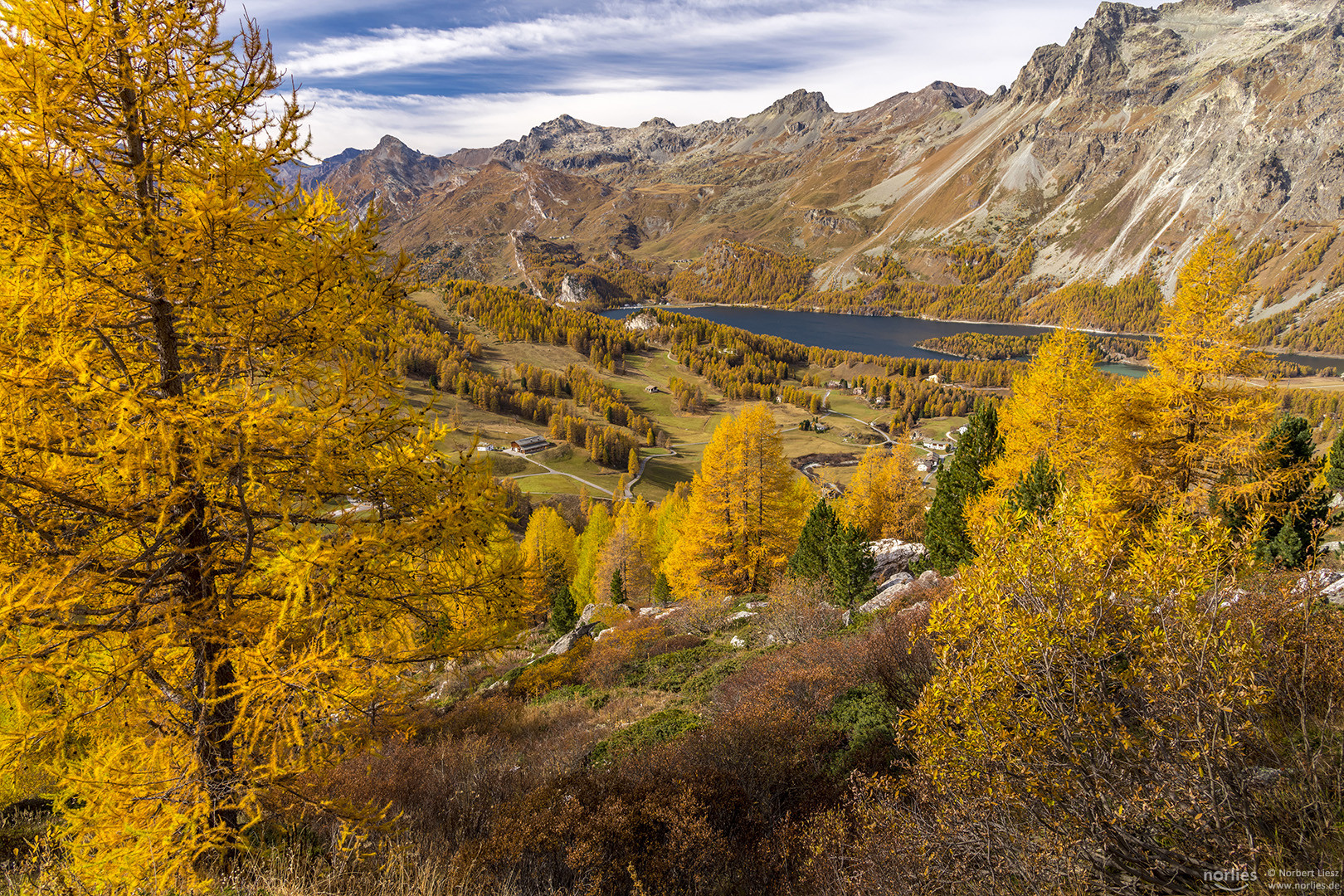 Goldener Herbst