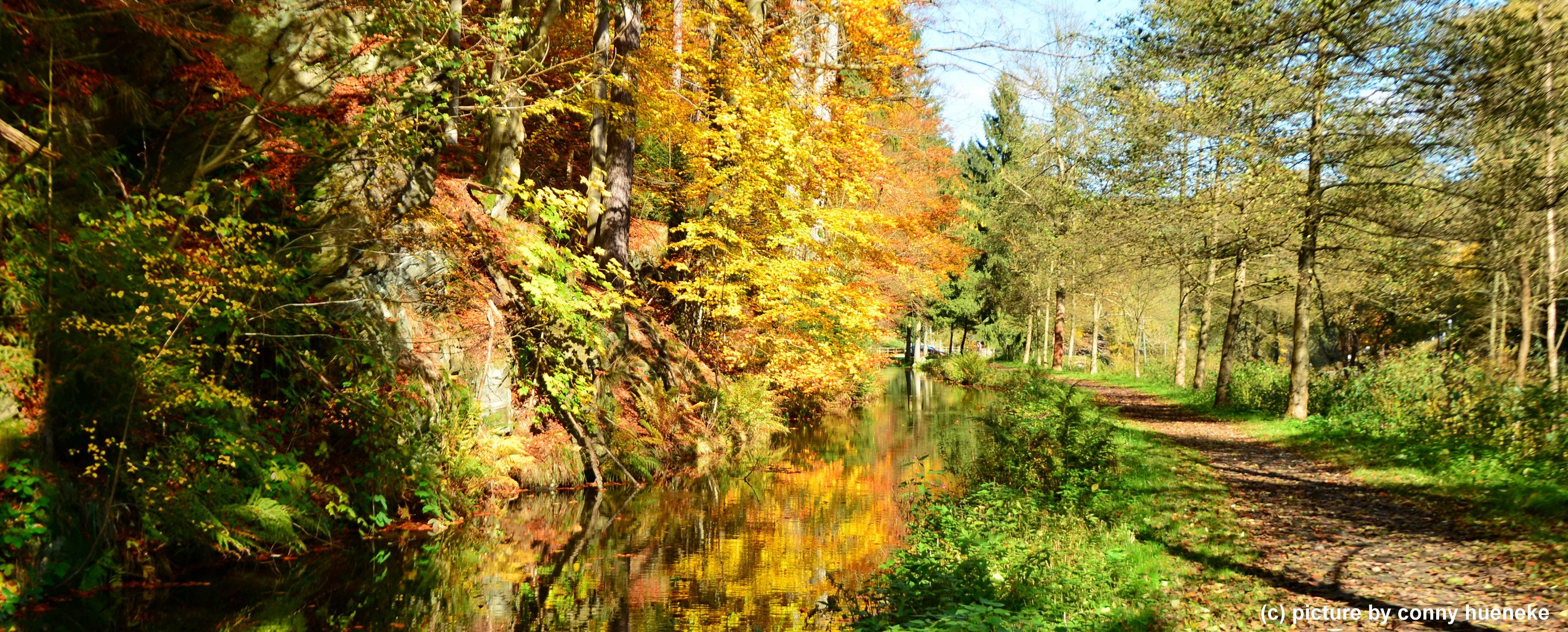 Goldener Herbst