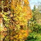 Goldener Herbst