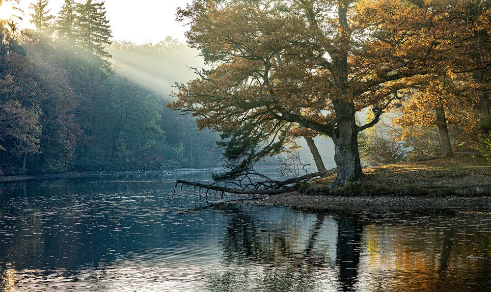 Goldener Herbst