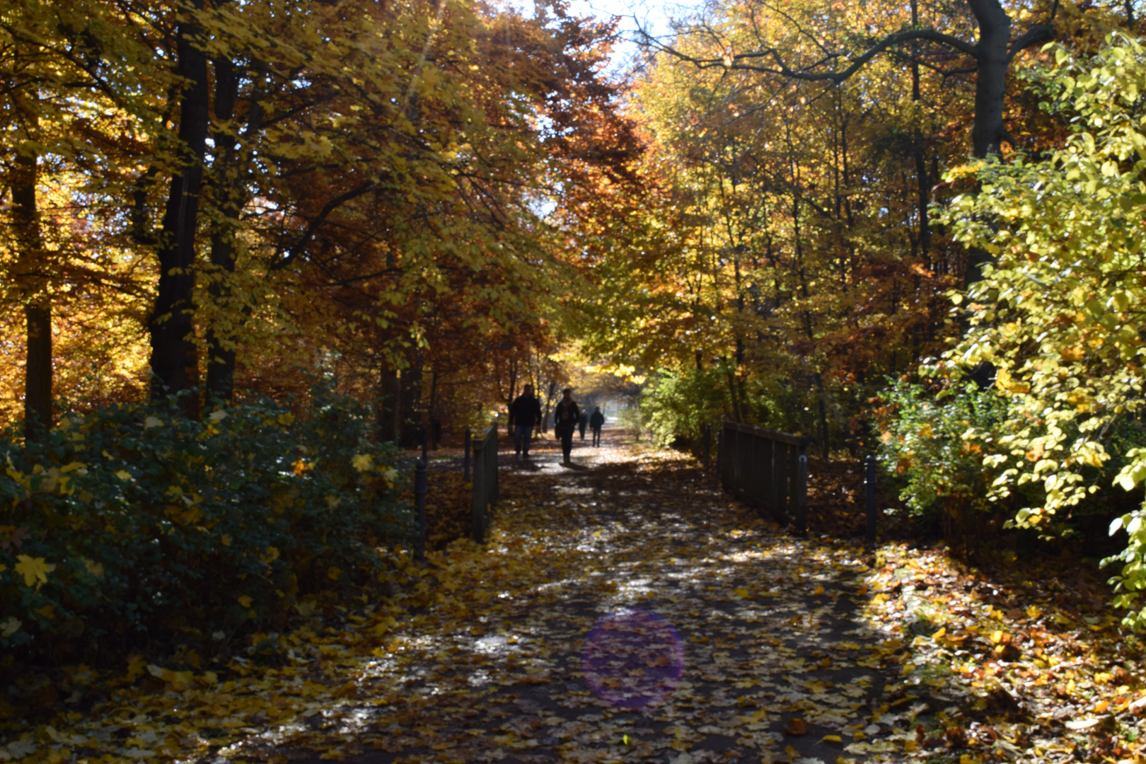 goldener Herbst