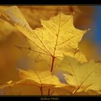 Goldener Herbst