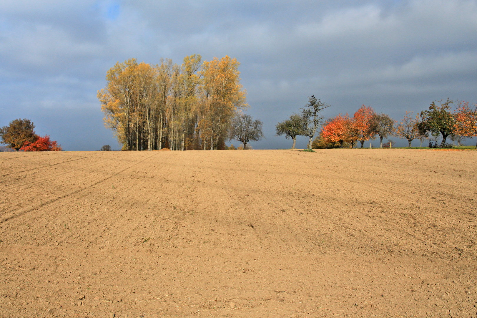 Goldener Herbst