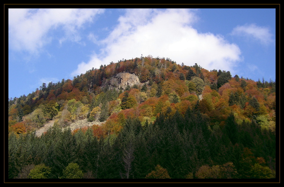 GOLDENER HERBST