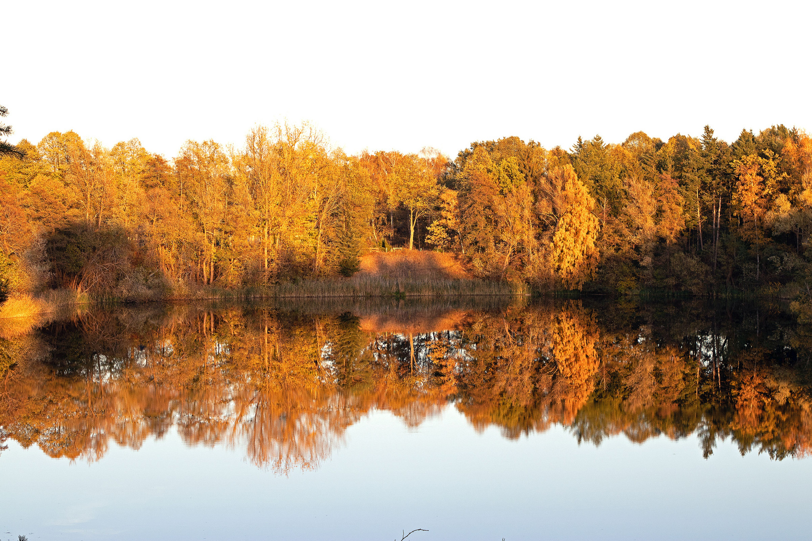 Goldener Herbst