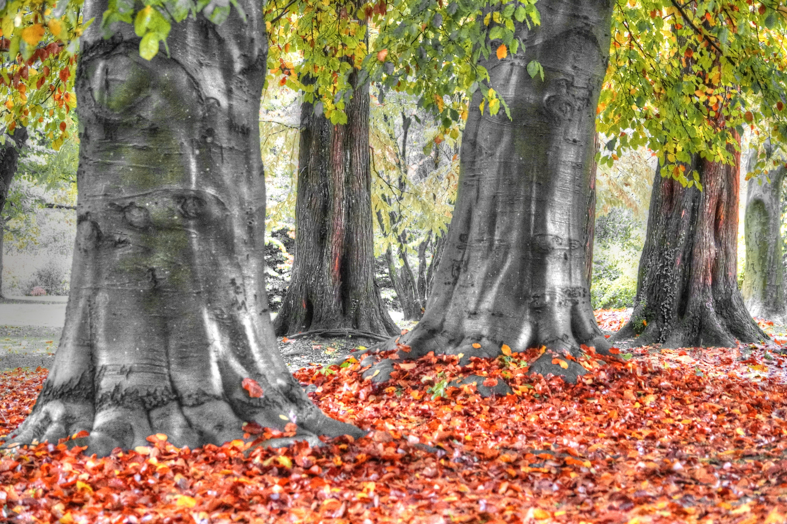 goldener Herbst