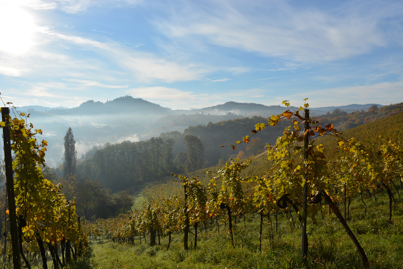 Goldener Herbst