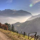 Goldener Herbst am Achensee