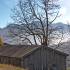 Goldener Herbst am Achensee II