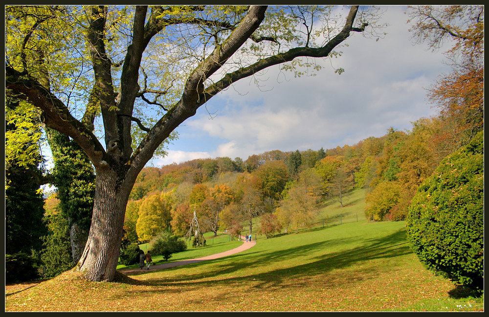 goldener herbst am altenstein (1)