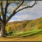 goldener herbst am altenstein (1)