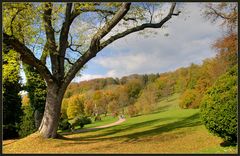 goldener herbst am altenstein (1)