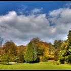 goldener herbst am altenstein (2)