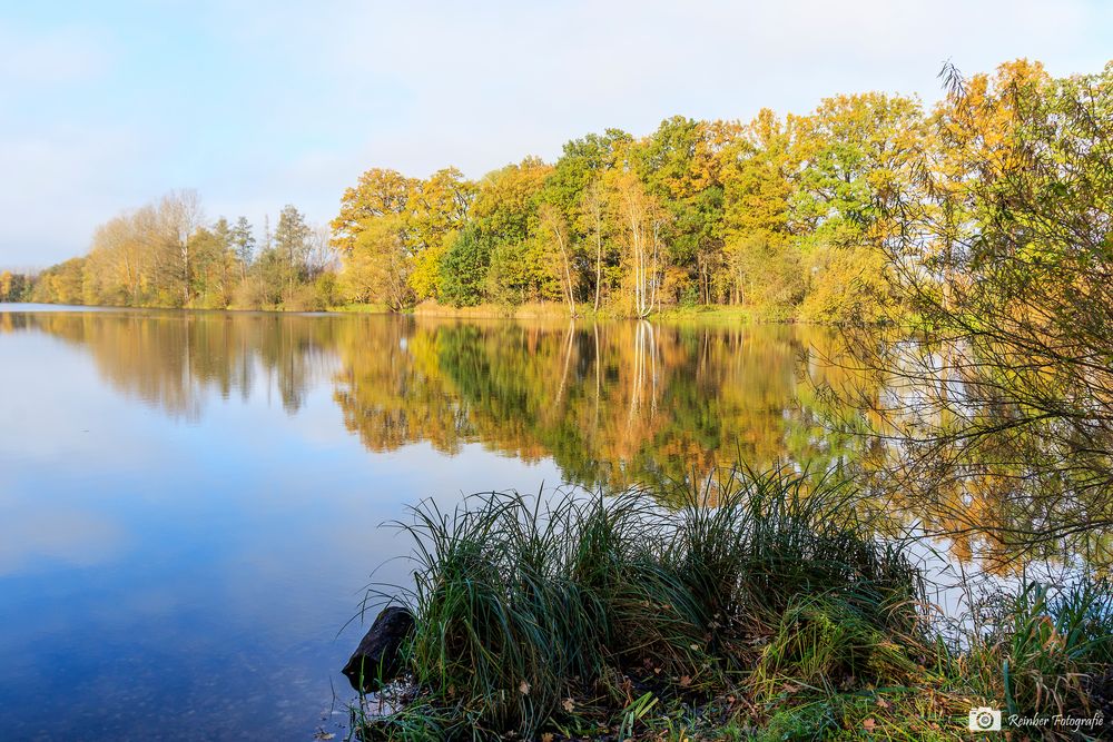 Goldener Herbst am Anglersee