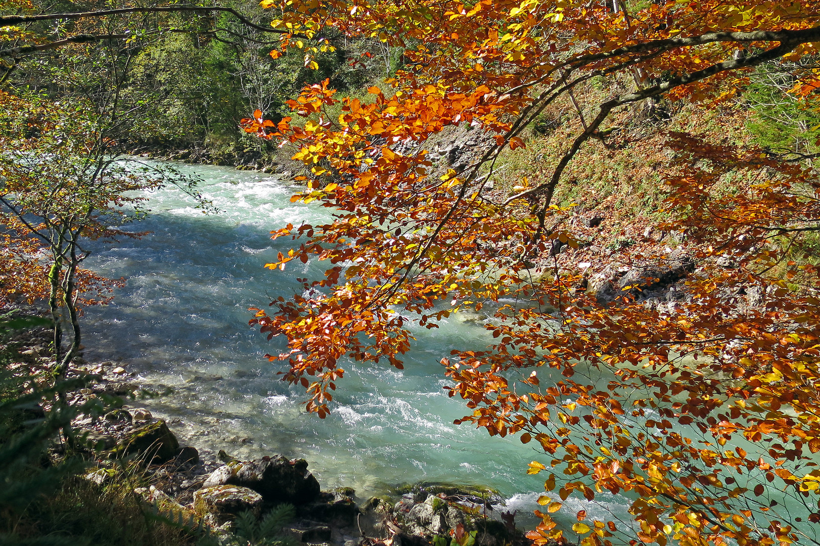 Goldener Herbst am Bergbach