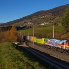 Goldener Herbst am Brenner II