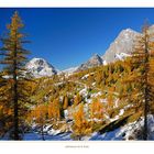 ~~~ Goldener Herbst am Dachstein ~~~