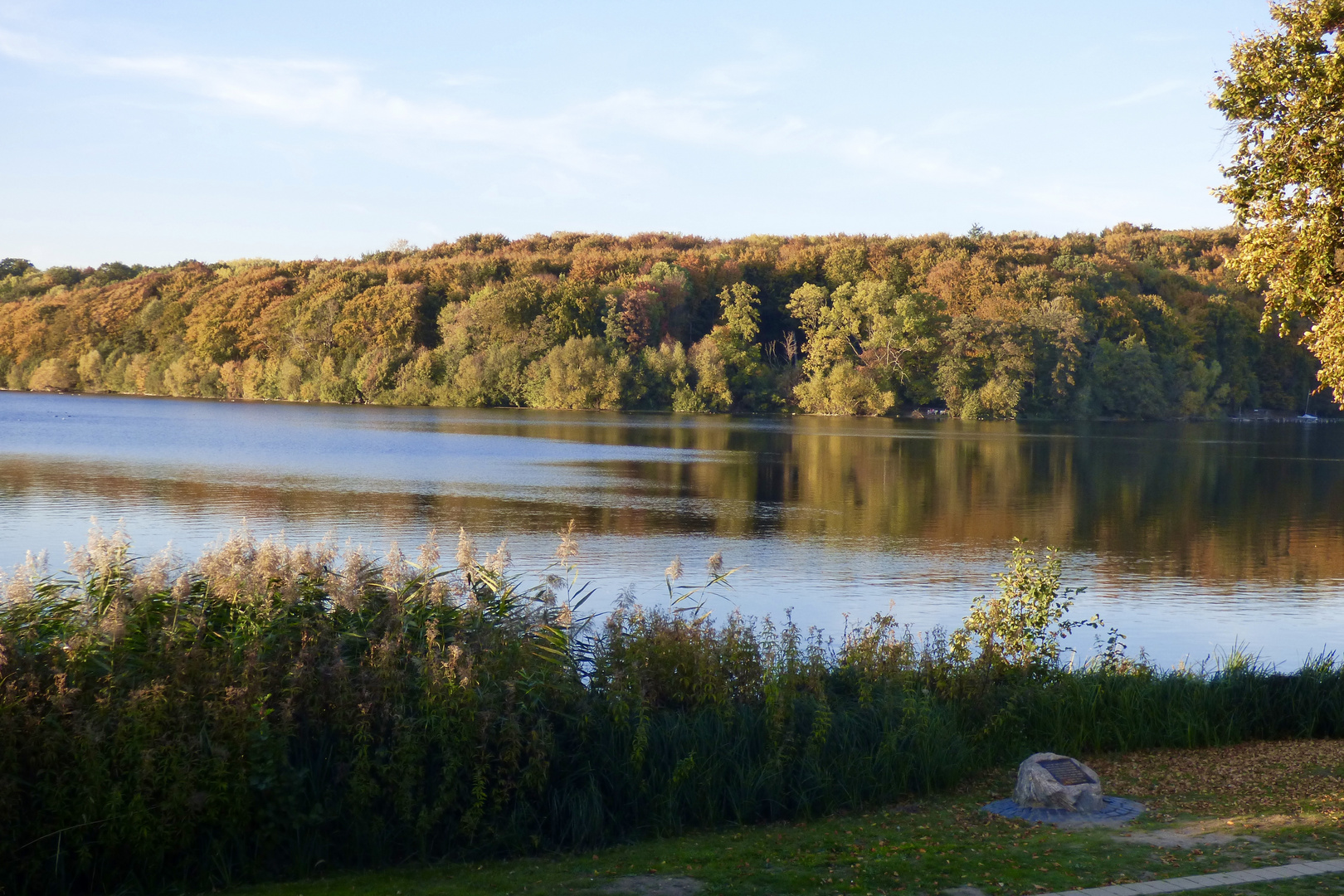 Goldener Herbst am Dieksee in der Holsteinischen Schweiz