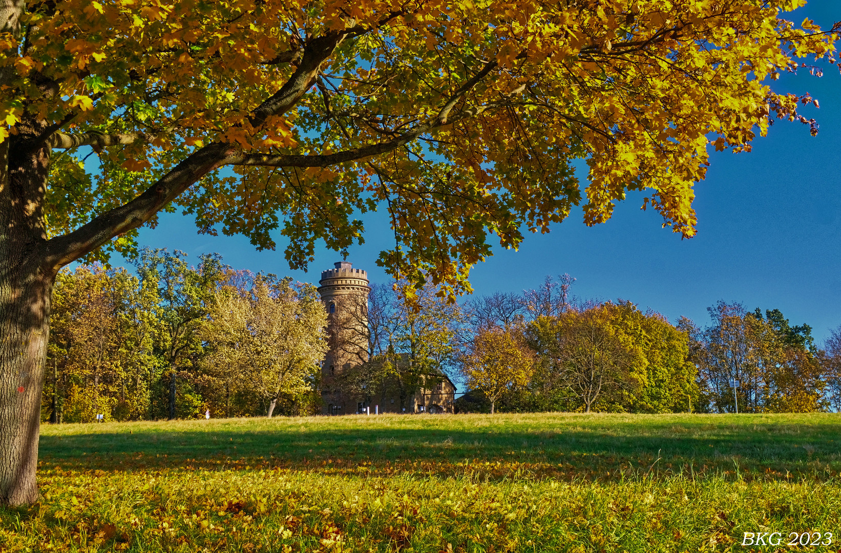 Goldener Herbst am Ferberturm Gera 